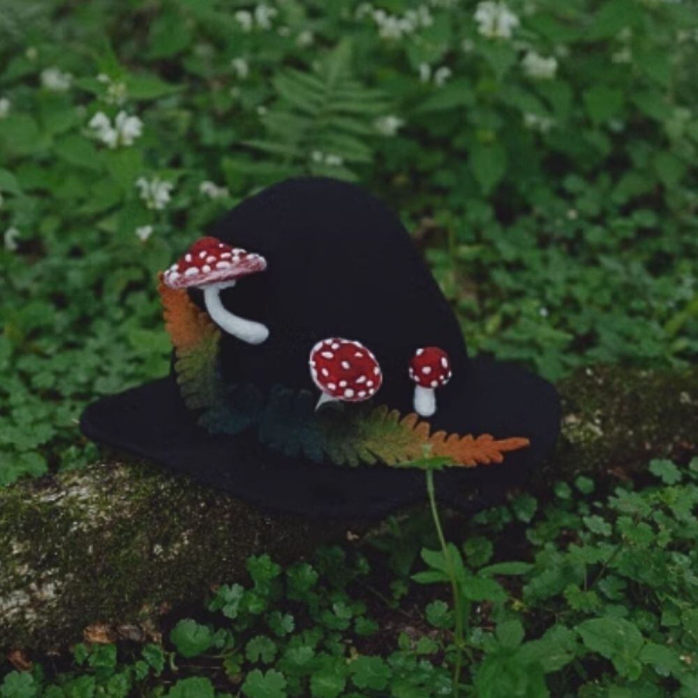 mushroom forest black hat
