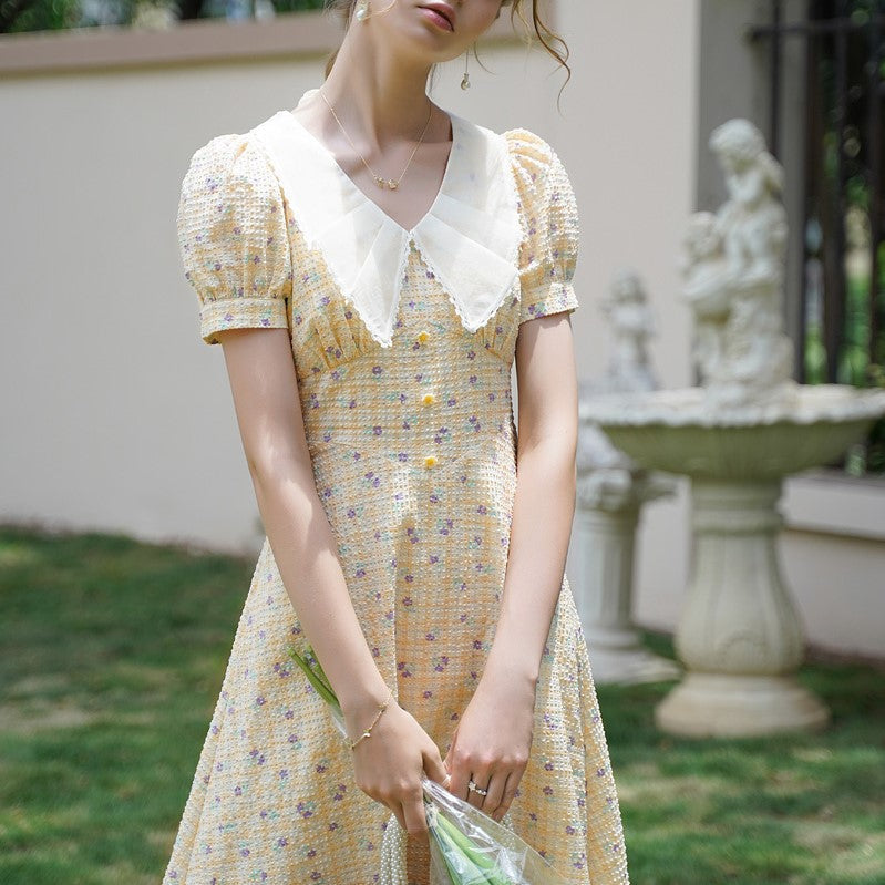 Stars in the sky and floral French dress – remulia