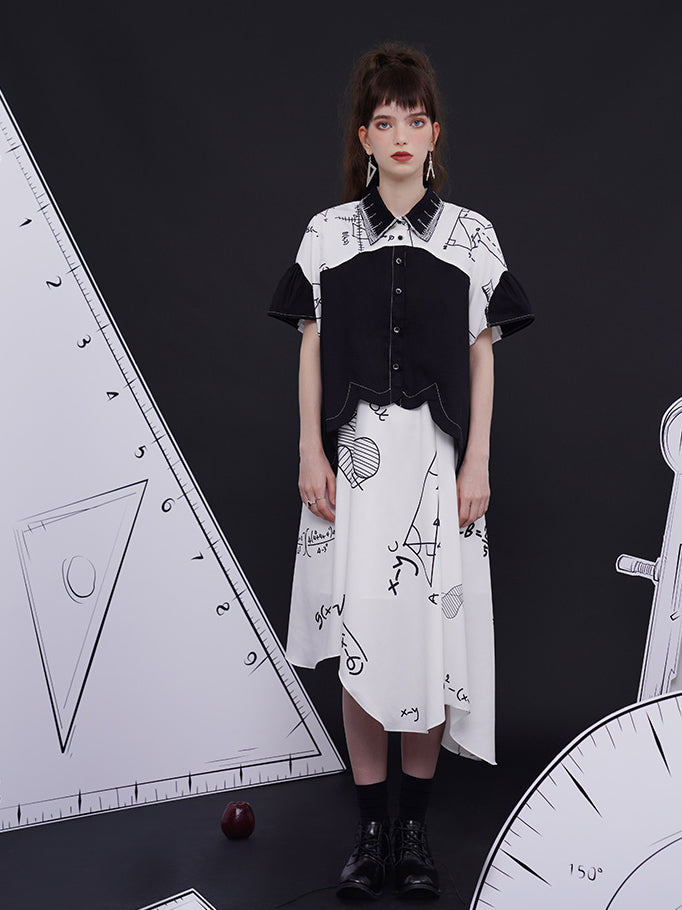 直線定規と関数図形ブラウス