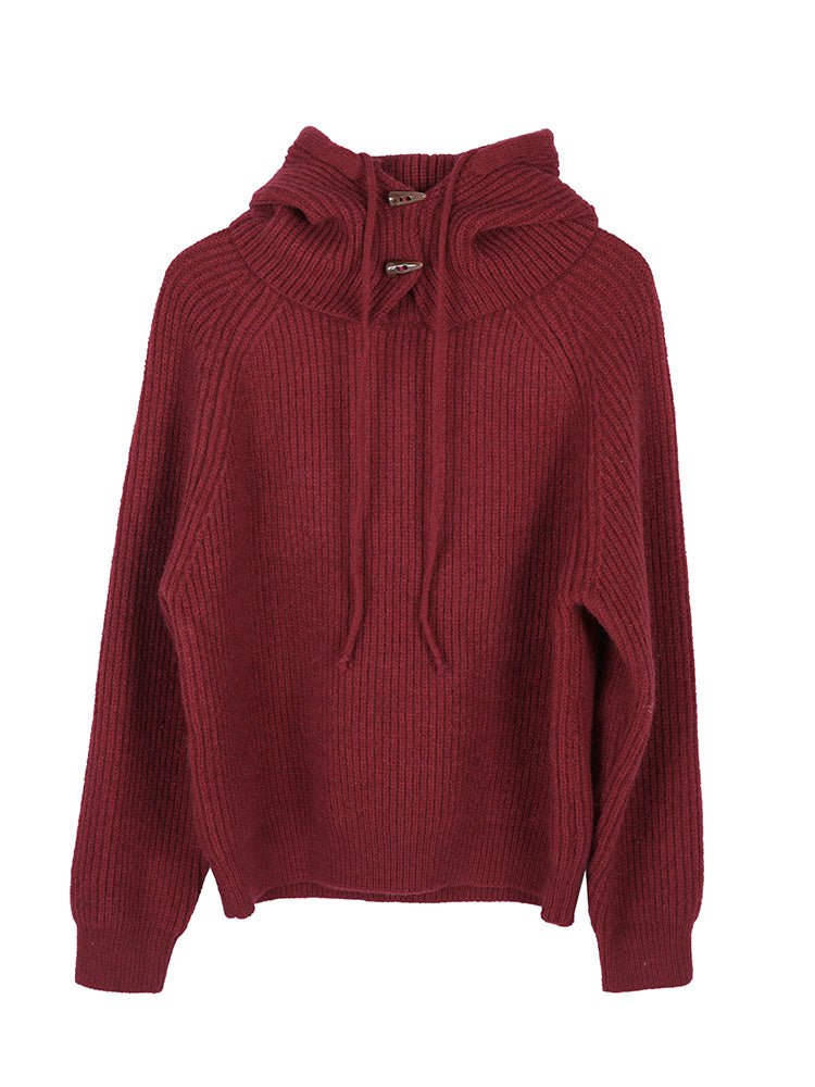 Red hooded sweater for christmas