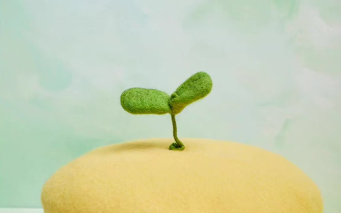 wool felt cute growing green bud painter's hat