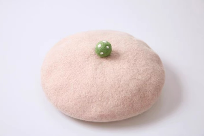 wool felt literary and cute succulent beret