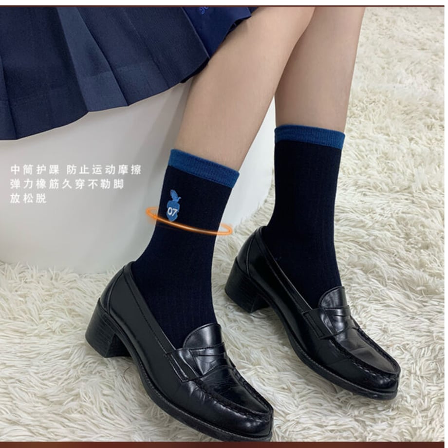 wizard school color socks