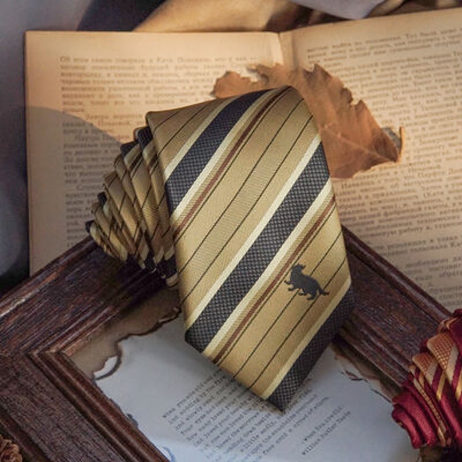 wizard school striped tie
