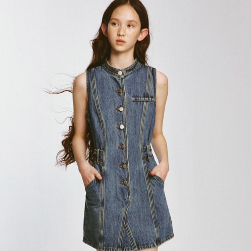 Jeans lover pressing stand-up collar waist denim dress