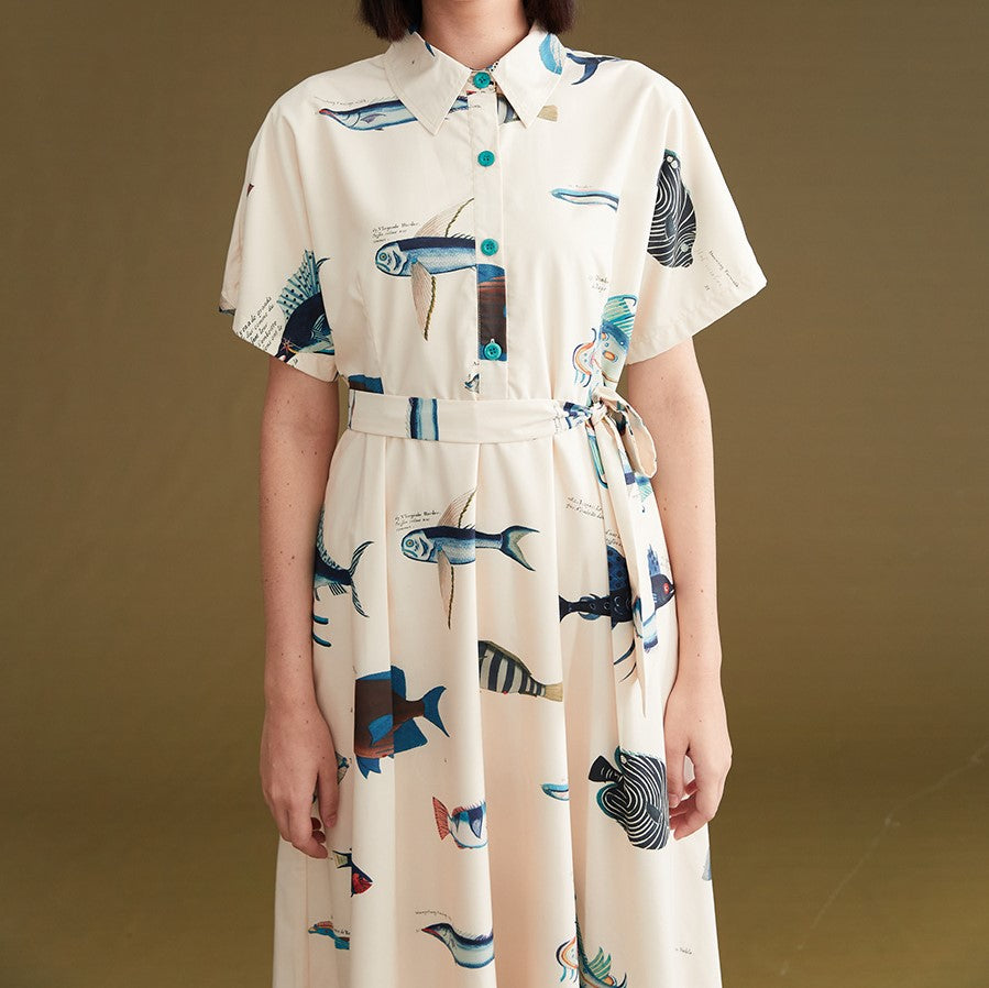 Fish picture book dress – remulia