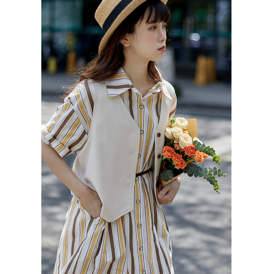 Yellow-brown vertical striped dress